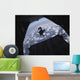 Airmen Jump out Hc-130 Wall Decal