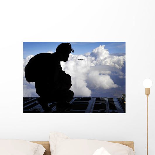 Romanian Paratrooper Awaits His Wall Decal
