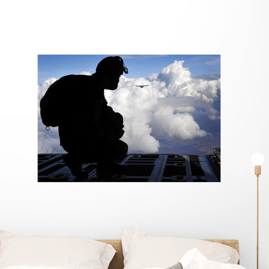 Romanian Paratrooper Awaits His Wall Decal