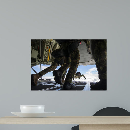 Romanian Paratroopers Perform Halo Wall Decal