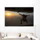 Us Air Force Pararescueman Wall Decal Design 1