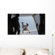 Us Marine Jumps out Wall Decal