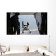 Us Marine Jumps out Wall Decal