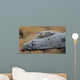 Close-up Nose Cone A-10 Wall Decal
