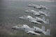 A-10 Thunderbolt Ii's Flying Wall Decal Design 2