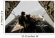 Us Army Green Berets Wall Decal Design 2