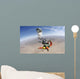 Military Freefall Parachutist Deploys Wall Decal