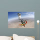 Military Freefall Parachutist Deploys Wall Decal