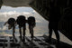 Paratroopers Jump out Kc-130j Wall Decal Design 2