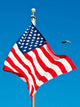 Member Army's S Black Wall Decal