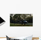 Hh-60 Pave Hawk Evacuates Wall Decal