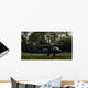 Hh-60 Pave Hawk Evacuates Wall Decal
