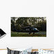 Hh-60 Pave Hawk Evacuates Wall Decal