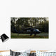 Hh-60 Pave Hawk Evacuates Wall Decal