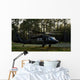 Hh-60 Pave Hawk Evacuates Wall Decal