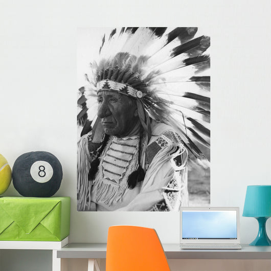 Portrait Chief Red Cloud Wall Decal
