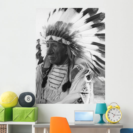 Portrait Chief Red Cloud Wall Decal
