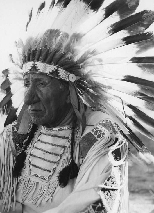 Portrait Chief Red Cloud Wall Decal