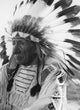 Portrait Chief Red Cloud Wall Decal