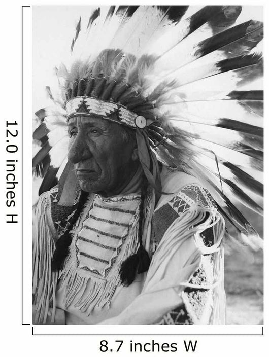 Portrait Chief Red Cloud Wall Decal