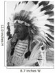 Portrait Chief Red Cloud Wall Decal