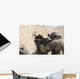 Us Special Forces Soldier Wall Decal