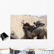 Us Special Forces Soldier Wall Decal