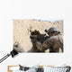 Us Special Forces Soldier Wall Decal