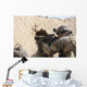 Us Special Forces Soldier Wall Decal