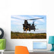 Us Army Soldiers Fast-rope Wall Decal