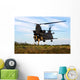 Us Army Soldiers Fast-rope Wall Decal