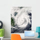 Satellite Typhoon Kai-tak Wall Decal