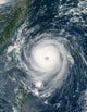 Typhoon Longwang Approaching Taiwan Wall Decal