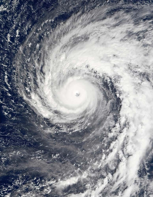 Super Typhoon Podul Wall Decal