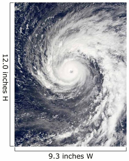 Super Typhoon Podul Wall Decal