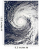 Super Typhoon Podul Wall Decal