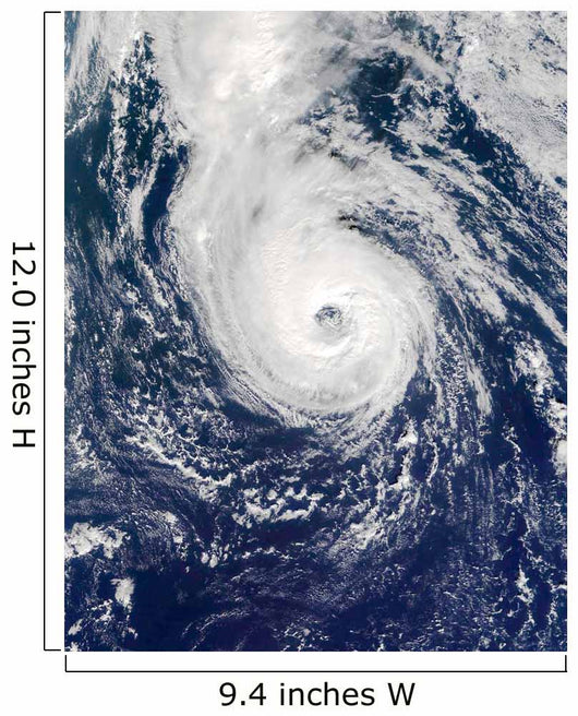 Hurricane Epsilon Wall Decal Design 1
