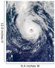 Hurricane Epsilon Wall Decal Design 1