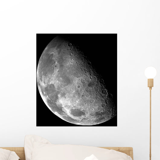 Moon's North Pole Wall Decal