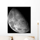 Moon's North Pole Wall Decal