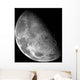 Moon's North Pole Wall Decal