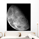 Moon's North Pole Wall Decal