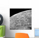 Lunar Surface Wall Decal Design 1