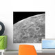 Lunar Surface Wall Decal Design 1