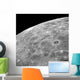 Lunar Surface Wall Decal Design 1