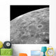 Lunar Surface Wall Decal Design 1