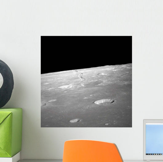 High Forward Oblique Rima Wall Decal