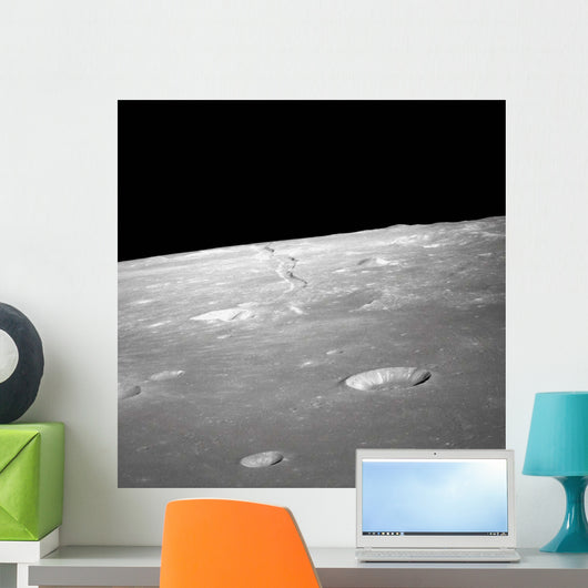 High Forward Oblique Rima Wall Decal
