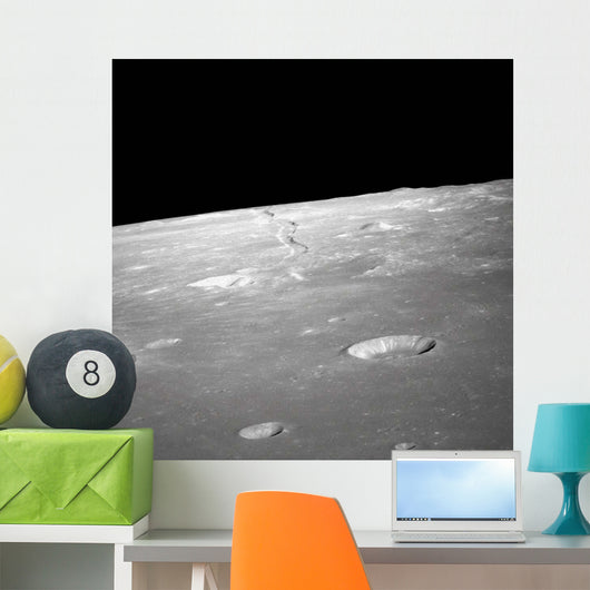 High Forward Oblique Rima Wall Decal