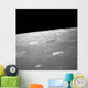 High Forward Oblique Rima Wall Decal